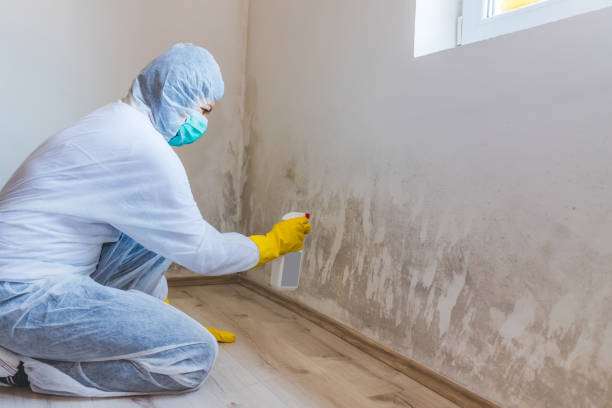 Commercial Mold Remediation assessment for commercial property in Woodsboro